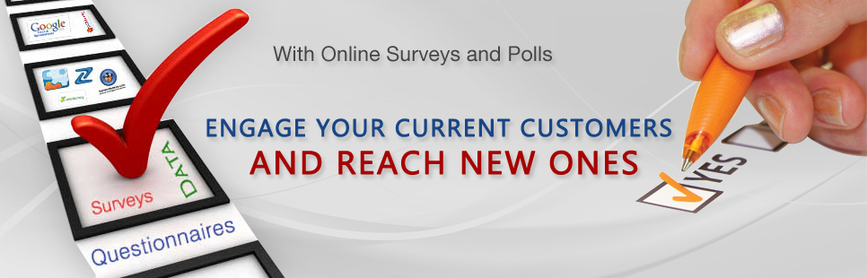 Online Surveys