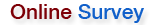 Online Surveys