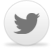 Go Social With Surveys